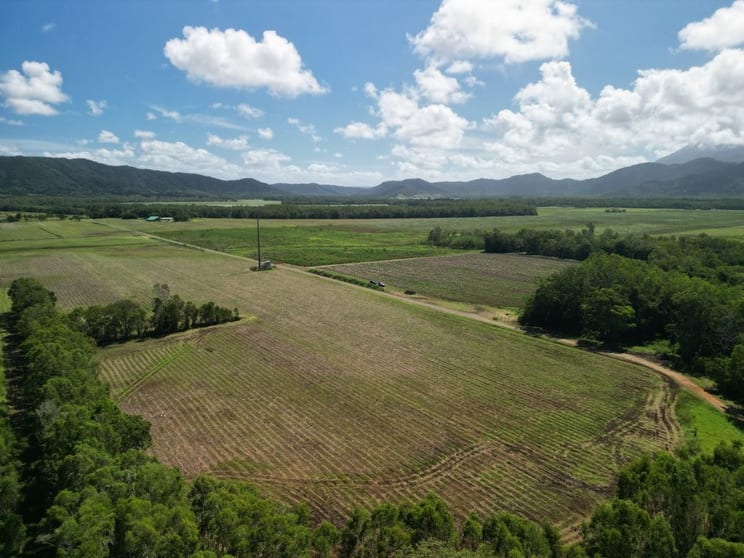 Mossman Daintree Road Lower Daintree QLD 4873 - Image 2