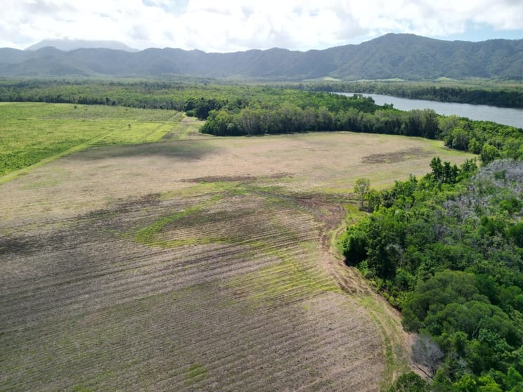Mossman Daintree Road Lower Daintree QLD 4873 - Image 3
