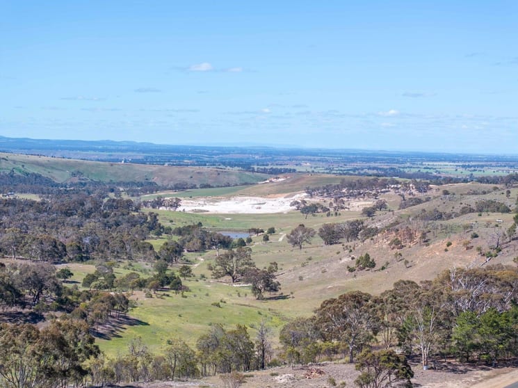 VIC - Image 1