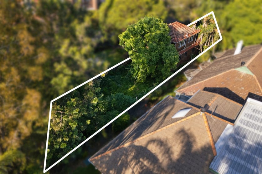 62 Homebush Road Strathfield NSW 2135 - Image 2