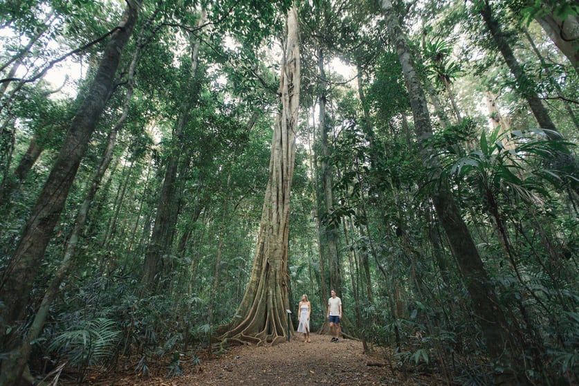Buderim QLD 4556 - Image 1