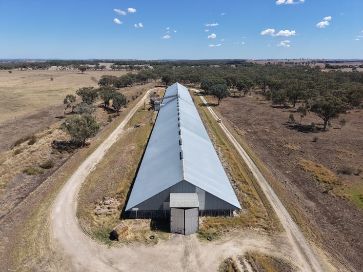 Click to view all images 1 Railway Street Delungra NSW 2403 - Image 2