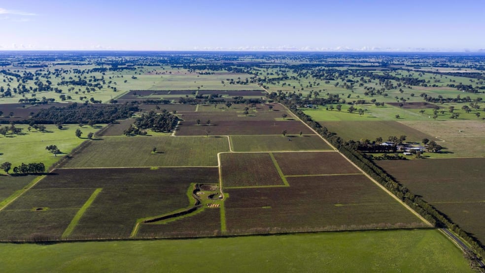 Click to view all images 1140 Langkoop Road Koppamurra SA 5271 - Image 3