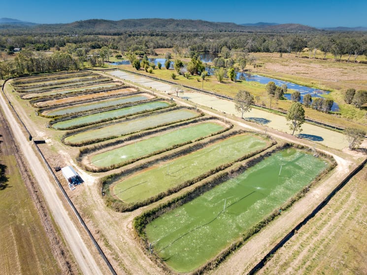 Click to view all images 586 Hodzic Rd Biboohra QLD 4880 - Image 2