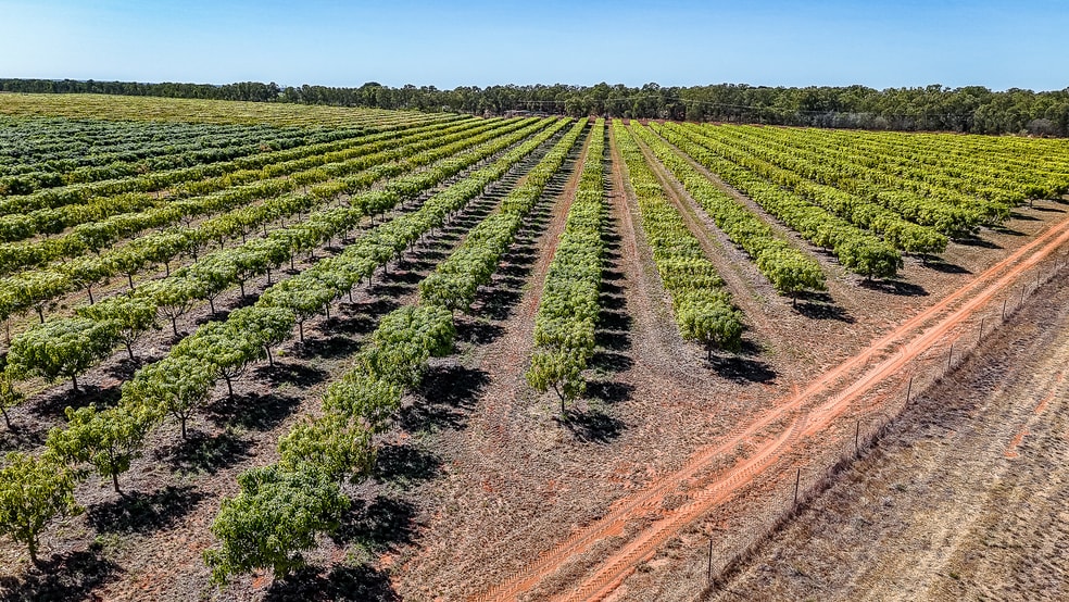 Click to view all images 0 Foxalicious Farm Katherine NT 0850 - Image 3