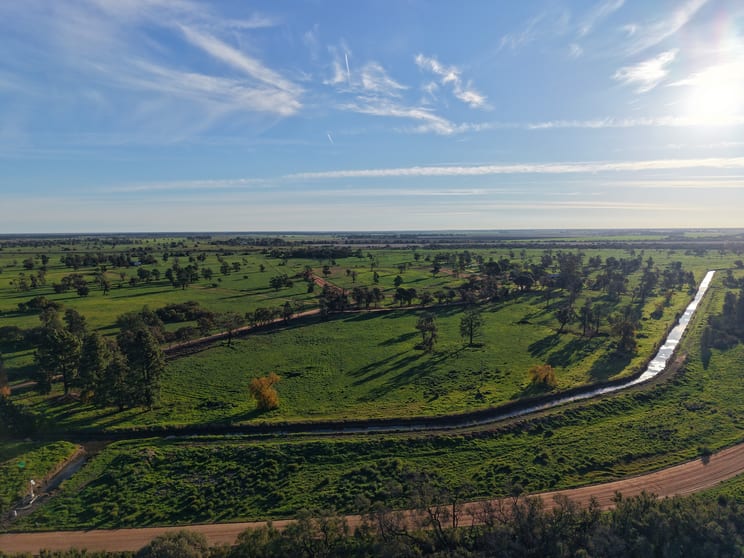 Click to view all images Farm 518 (West) Wood Road Coleambally NSW 2707 - Image 2