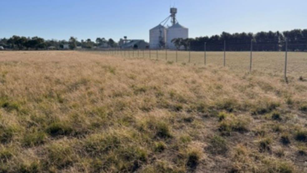 Henty Highway Warracknabeal VIC 3393 - Image 2