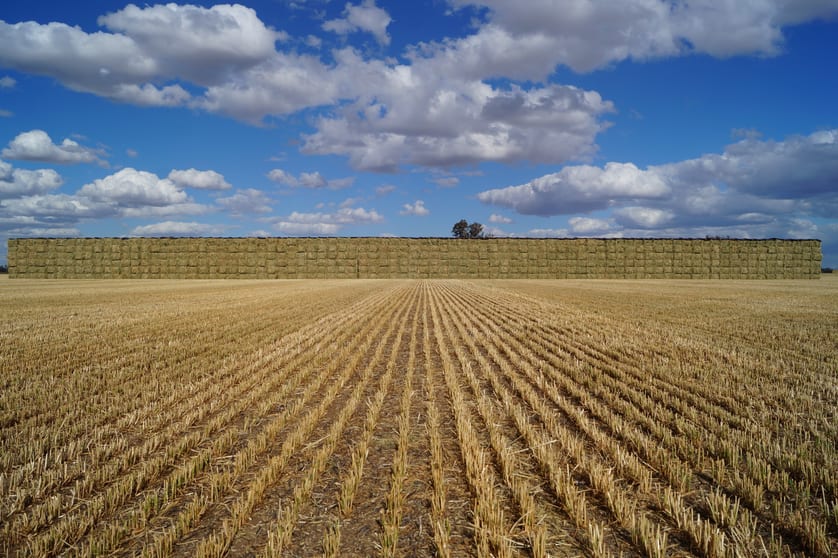 Hay Cap Tocumwal NSW 2714 - Image 3
