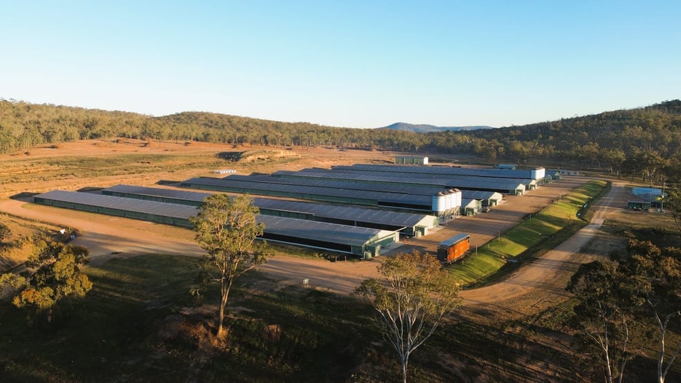 3497 Leyburn Cunningham Road Pratten QLD 4370 - Image 2
