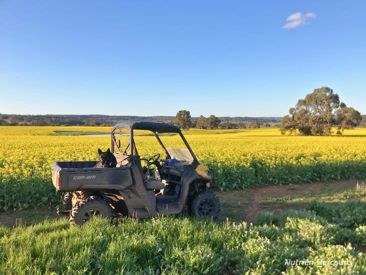 Click to view all images 8221 Brookton Highway Jelcobine WA 6306 - Image 1