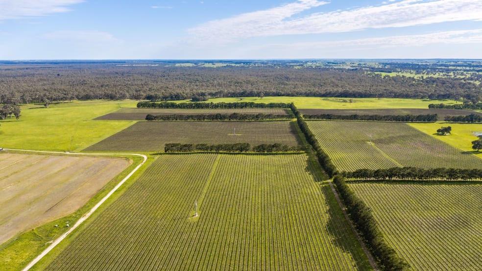 Davis Road Coonawarra SA 5263 - Image 3