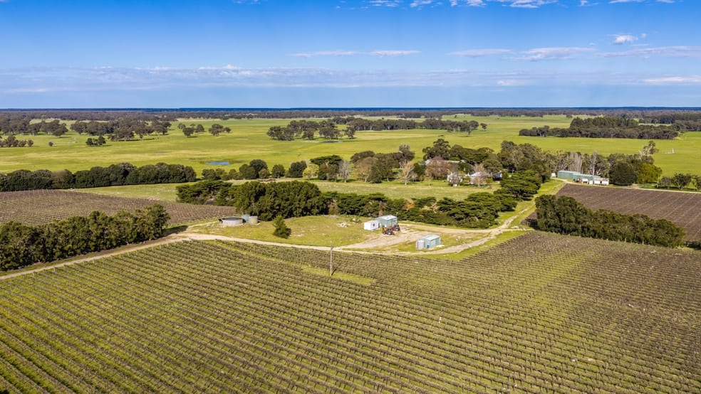 Davis Road Coonawarra SA 5263 - Image 4