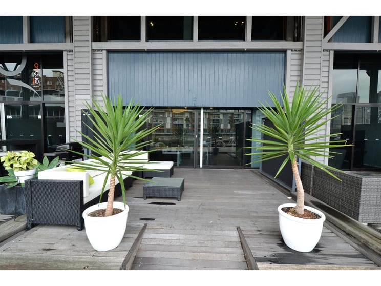 Click to view all images 103/26-32 Pirrama Road Pyrmont NSW 2009 - Image 3