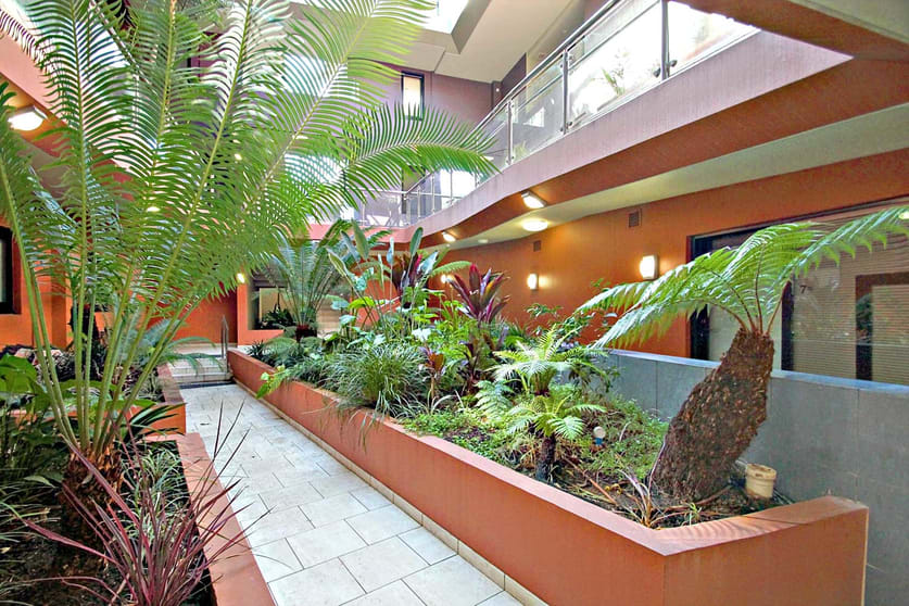 Click to view all images 7/469 Parramatta Road Leichhardt NSW 2040 - Image 2