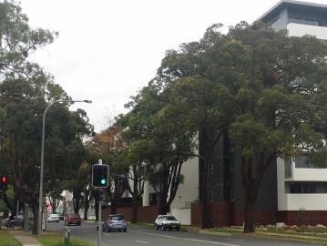Campbelltown NSW 2560 - Image 3