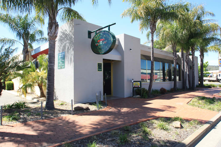 31 Forsyth Street Wagga Wagga NSW 2650 - Image 1