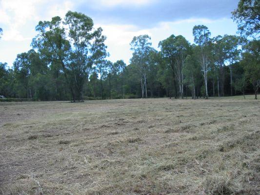 Bridgeman Downs QLD 4035 - Image 2