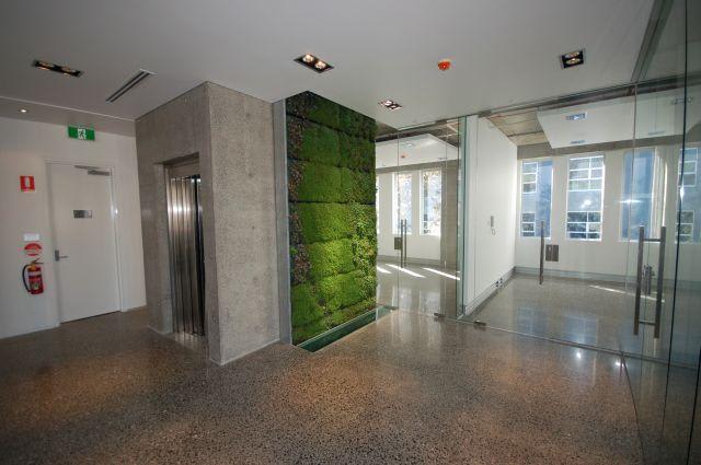 Click to view all images 104/441-449 Elizabeth Street Street Surry Hills NSW 2010 - Image 3