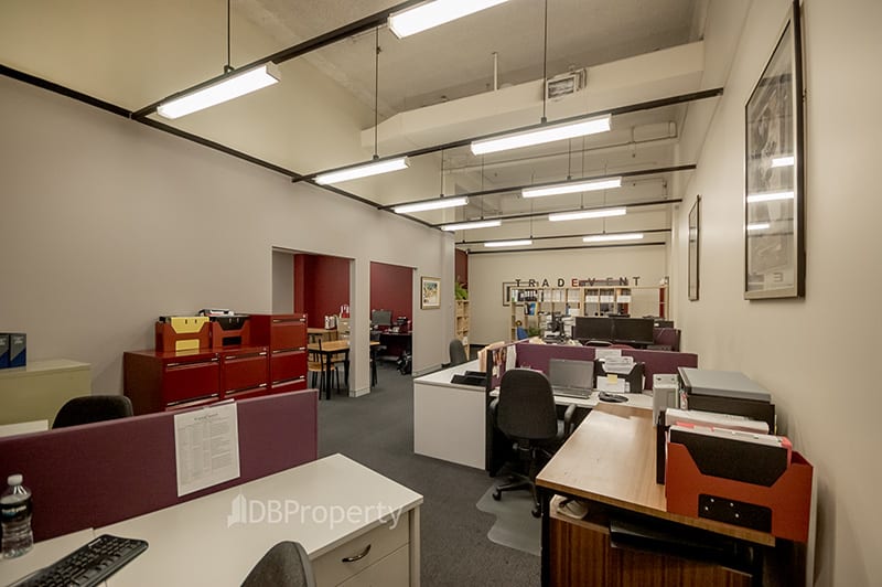 Ground/410 Elizabeth Street Surry Hills NSW 2010 - Image 3