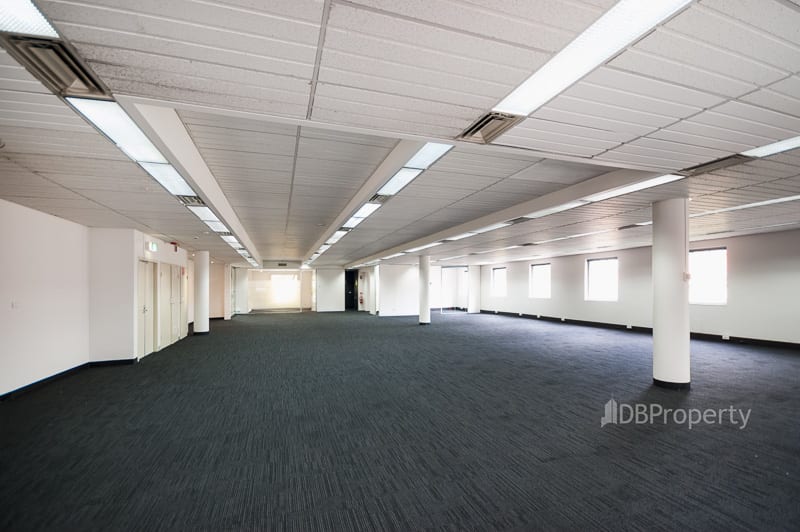 Whole Tena/59 Buckingham Street Surry Hills NSW 2010 - Image 1