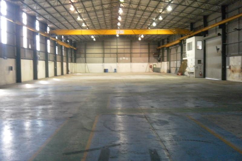 7 Firebrick Drive Thornton NSW 2322 - Image 1