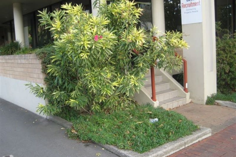 Click to view all images 300 Flinders Street Adelaide SA 5000 - Image 2
