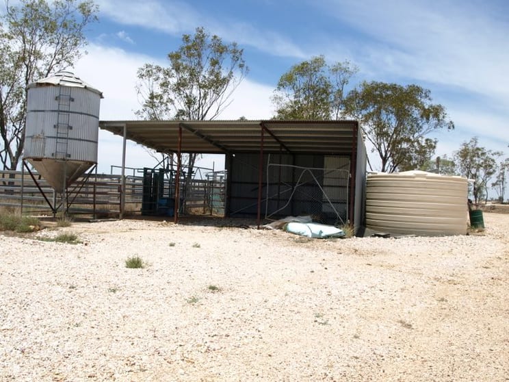 Click to view all images 1843 Roma-Southern Road Roma QLD 4455 - Image 3