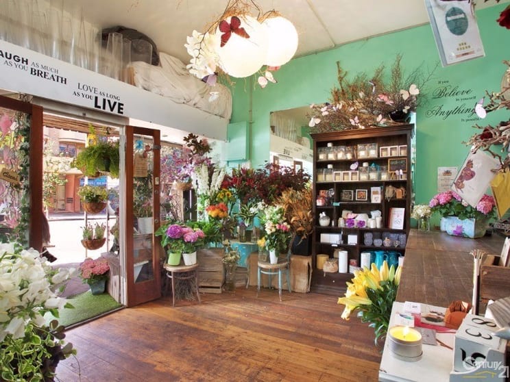 6/228B Clovelly Road Clovelly NSW 2031 - Image 3