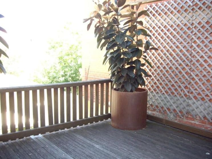 603 Elizabeth Street Surry Hills NSW 2010 - Image 2