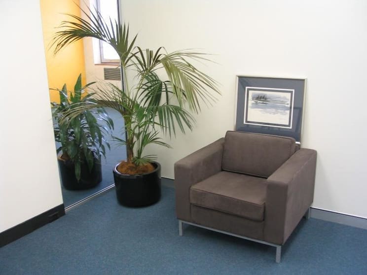 Level 2/213 Miller Street North Sydney NSW 2060 - Image 3