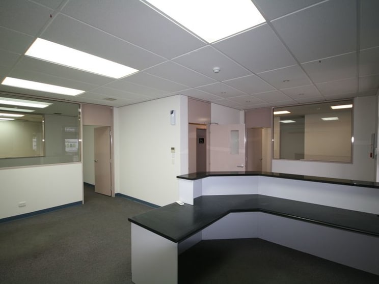5 Starr Avenue North Plympton SA 5037 - Image 3