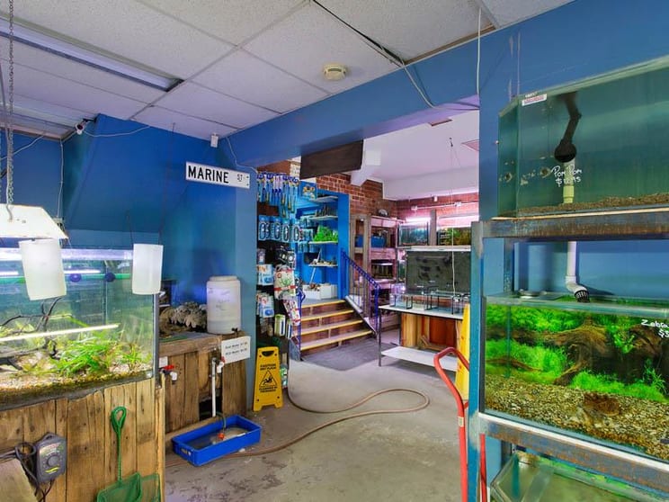 Click to view all images 139-141 Whitehorse Road Blackburn VIC 3130 - Image 3