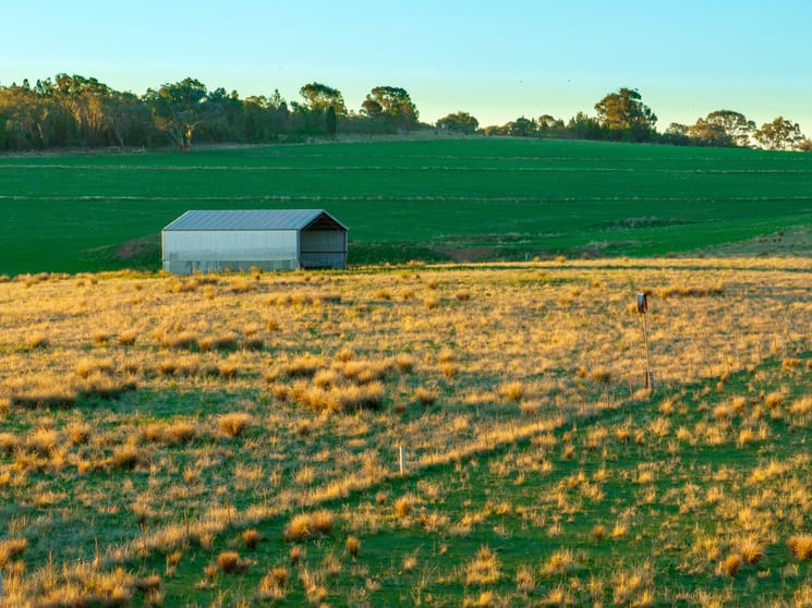 'Tullatoola' 798 Packham Drive Molong NSW 2866 - Image 3