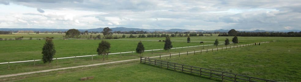 493 Plain Road Tabilk VIC 3607 - Image 1
