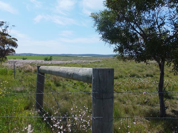 Lot 136 South Coast Hwy Ravensthorpe WA 6346 - Image 1