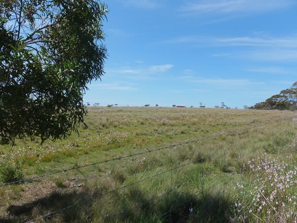 Lot 136 South Coast Hwy Ravensthorpe WA 6346 - Image 2