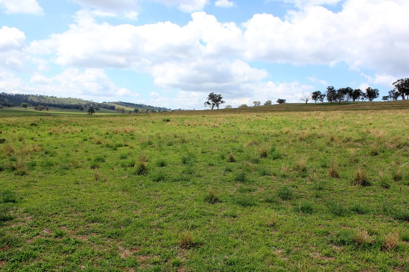Lot 4 Springfield Lane Mudgee NSW 2850 - Image 2