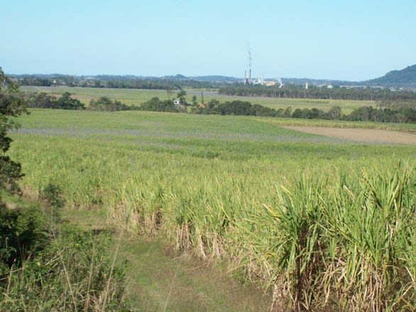 617 Devereux Creek Road Devereux Creek QLD 4753 - Image 1