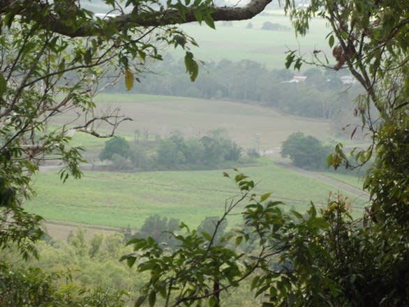 617 Devereux Creek Road Devereux Creek QLD 4753 - Image 2