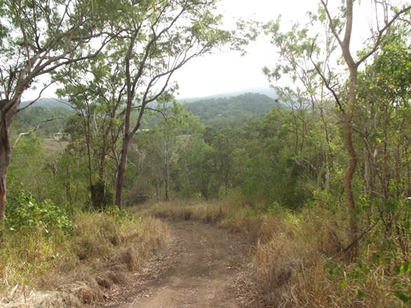 617 Devereux Creek Road Devereux Creek QLD 4753 - Image 3