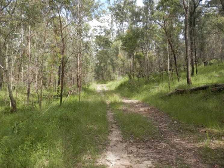 Click to view all images Lot 5 Long Gully Road Drake NSW 2469 - Image 1