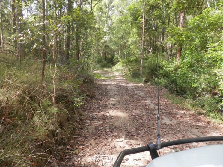 Click to view all images Lot 5 Long Gully Road Drake NSW 2469 - Image 2