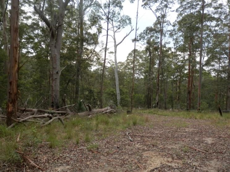 Click to view all images Lot 5 Long Gully Road Drake NSW 2469 - Image 3