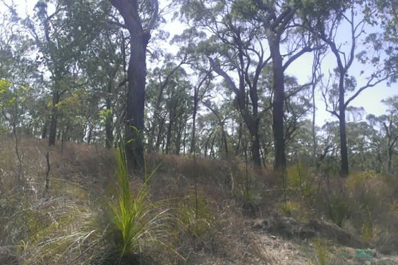Click to view all images Lot 8 Greenhill Road Ilbilbie QLD 4738 - Image 2