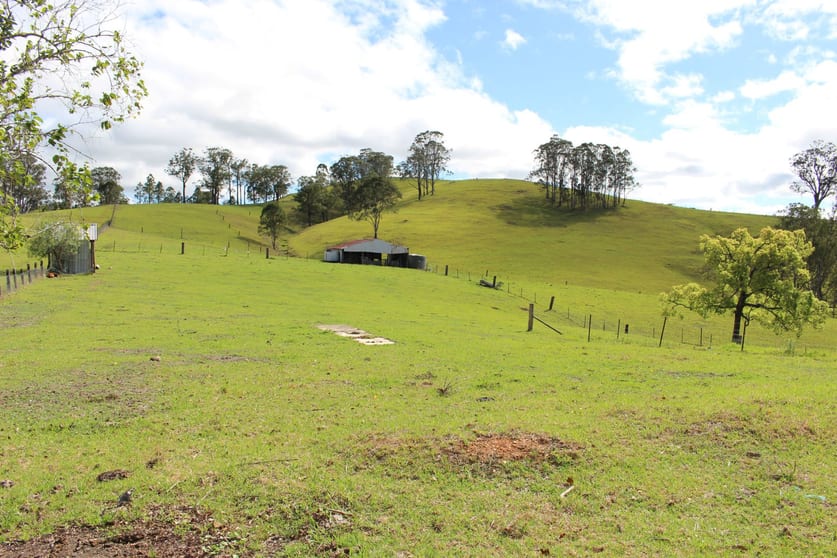 71 Easton Street Gloucester NSW 2422 - Image 3