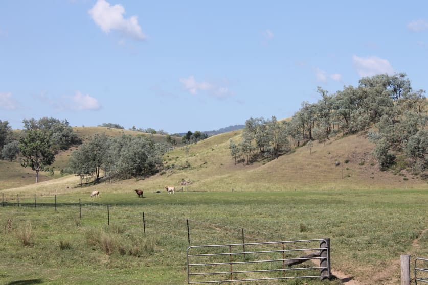 Rivertree NSW 2372 - Image 2