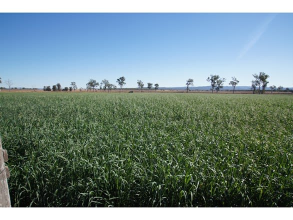 Click to view all images Lester Road Morton Vale QLD 4343 - Image 1