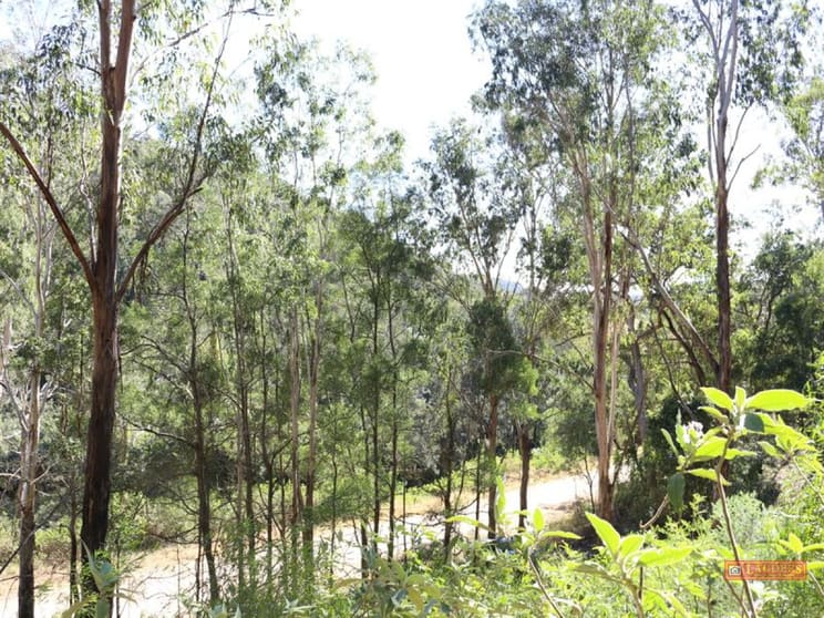 Lot 37 Nowendoc Road Caffreys Flat NSW 2424 - Image 3