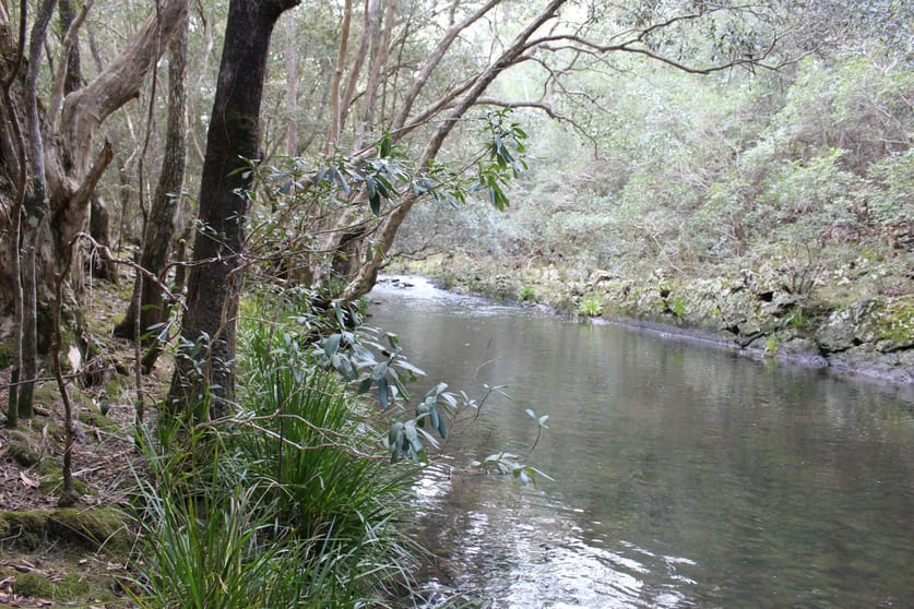 Gloucester NSW 2422 - Image 1