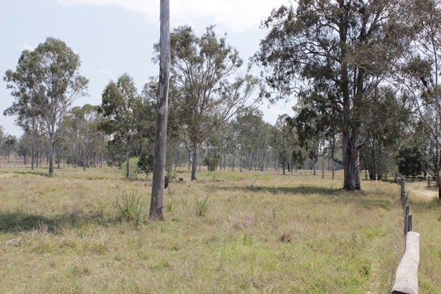 Lot 3/ HENDERSON Road Calvert QLD 4340 - Image 2